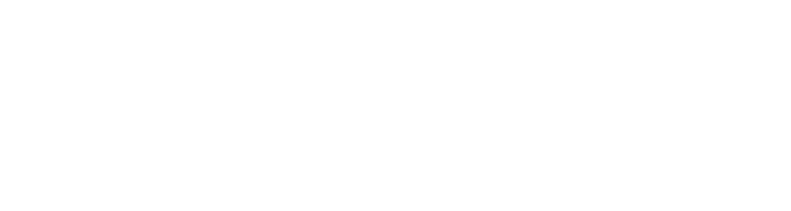 Concert Ticket